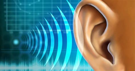 1 Trick To Reverse Hearing Loss Do This Tonight