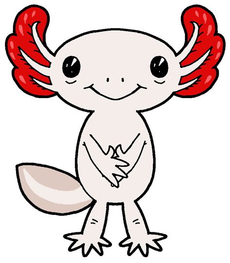 Axolotl Clipart 20 Free Cliparts Download Images On Clipground 2024
