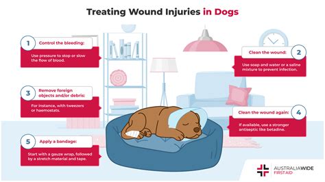 How Do I Clean A Dog Wound