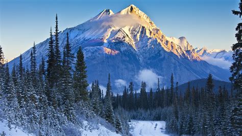 Alberta Banff National Park Canada Mountains Trees Snow Road Wallpaper Nature And