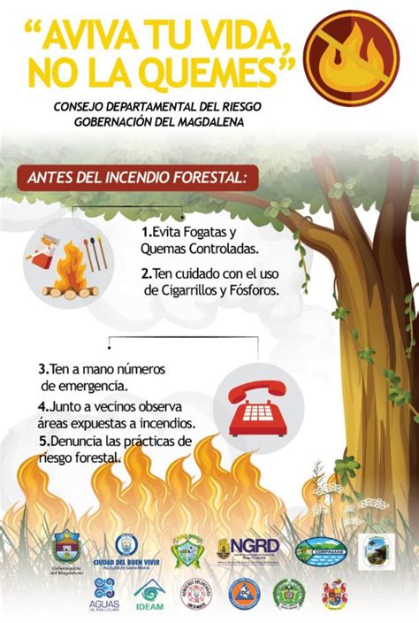 Inicia Campaña Frente A La Prevención De Incendios Forestales Aviva