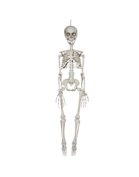 Darice Halloween Hanging Skeleton Bones Decoration 7x35 Inch Digs N Ts