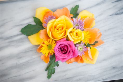 This will seal and protect the dried flowers. Freeze Dried Flowers for Holiday Centerpieces and Gifts ...