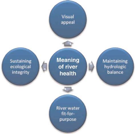 Different Descriptors For Defining The Meaning Of River Health