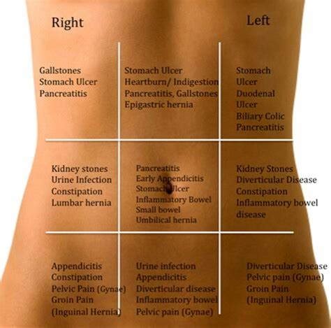 We did not find results for: What organs can cause pain that lie under rib cage, left side of body? - Healthtopquestions - HTQ