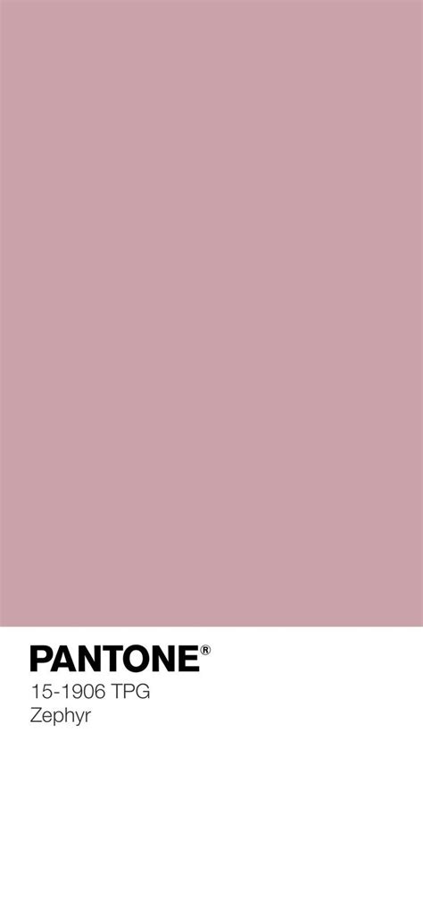 Pantone® 15 1906 Tpx Zephyr Find A Pantone Color Quick Online Color