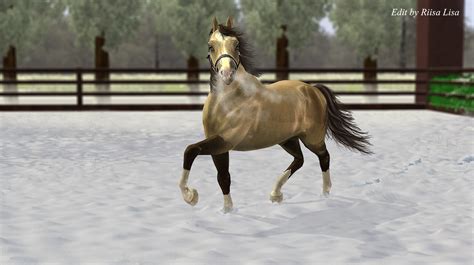 Sims 3 Horse Edit Comission 3 By Liloli1997ger On Deviantart