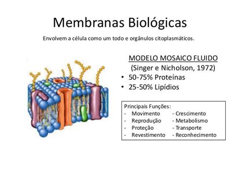 Membranas Biológicas