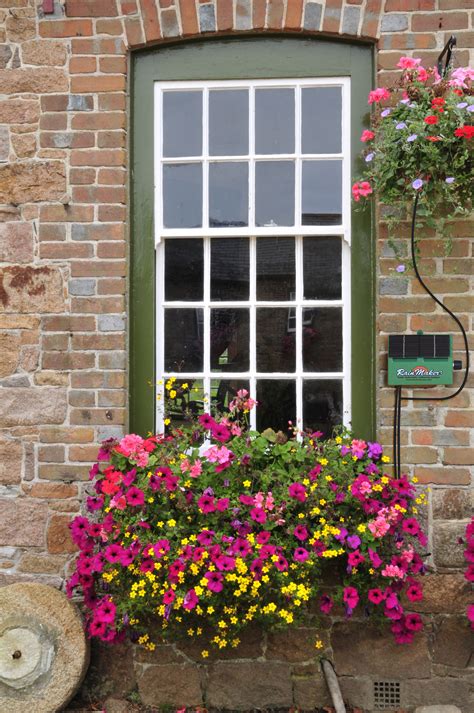 Window Flower Box Ideas That Will Inspire You To Make Your Own