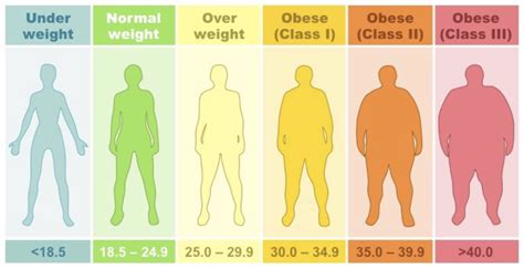 Body Mass Index Bjisg