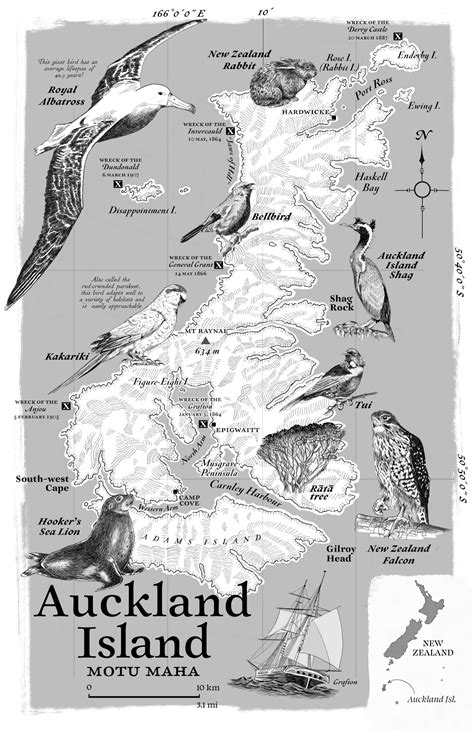 Maps by ScottAuckland Island - Maps by Scott