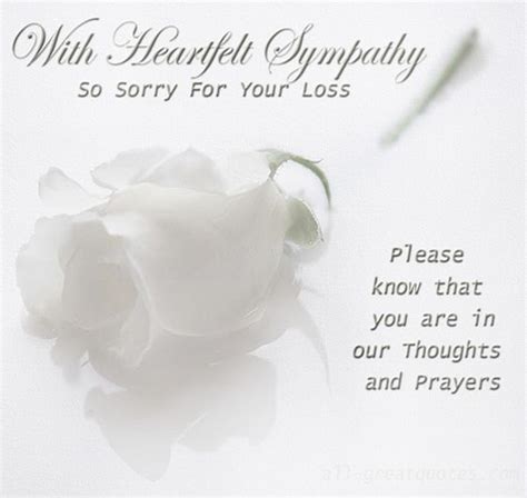 Beautiful Sympathy Card Messages And In Loving Memory To Share When