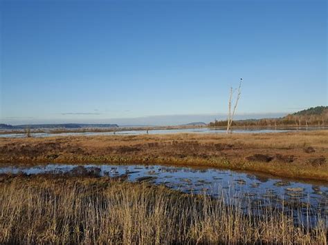 Nisqually National Wildlife Refuge Olympia 2019 All You Need To
