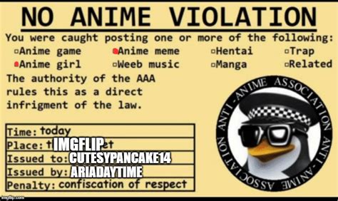 This Is A Ticket I Gave Someone For Posting Too Much Anime In Front Of