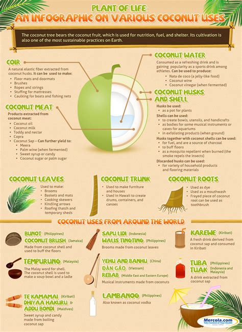 The Truth About Saturated Fats And The Coconut Oil Benefits