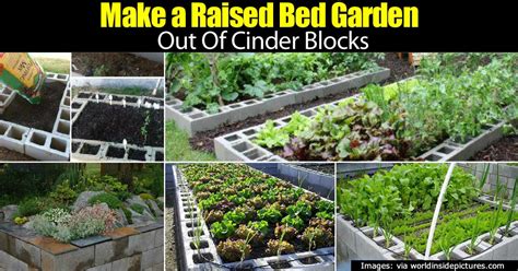 Making A Raised Bed Garden Using Cinder Blocks