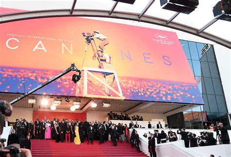 10 Films From The 2019 Cannes Film Festival Not To Be Missed
