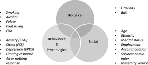 Biopsychosocial Model For Physical Activity Using Data From The Irish