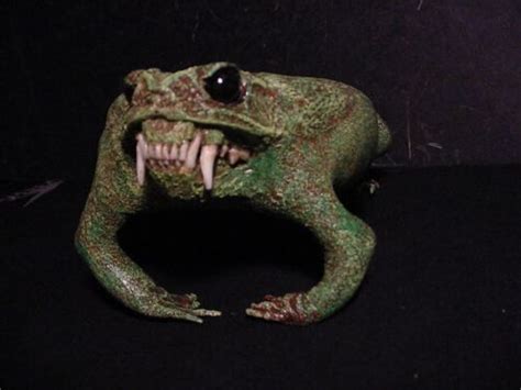 Unusual Creepy Frog Cane Toad Taxidermy Skumk Skull Freak Gaff Deformed