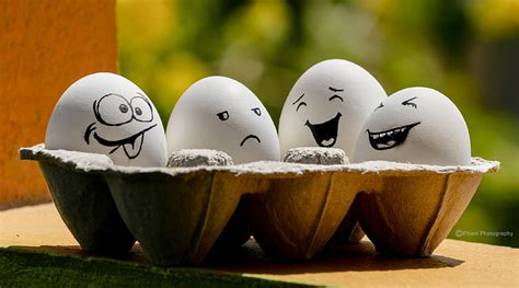 Hd Wallpaper Funny Eggs White Eggs And Gray Egg Tray Cute Food