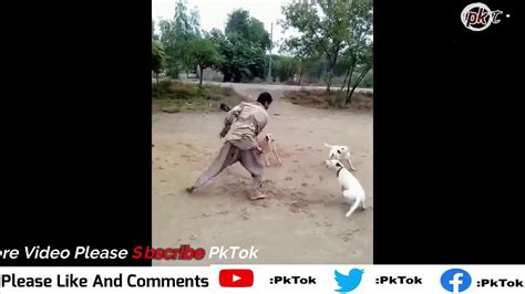 Funny Man Vs Dog Fight Youtube