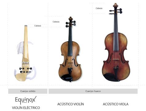 ¿cuáles Son Las Diferencias Entre Un Violín Y Una Viola