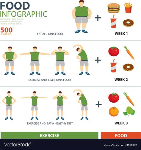 Exercise And Diet Infographic Royalty Free Vector Image
