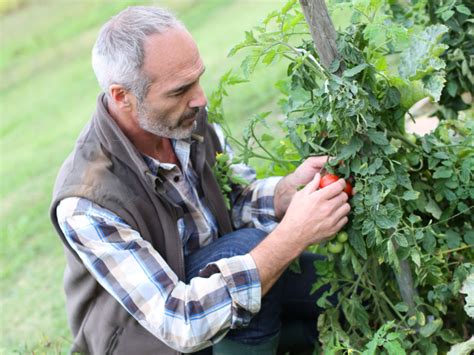 What Is Horticultural Therapy And Does It Work Nexus Newsfeed