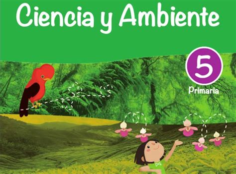 Libros De Ciencia Y Ambiente Para Primaria Más Interesantes