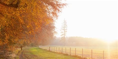 15 Stunningly Surreal Autumn Paths Autumn Landscape Scenery The