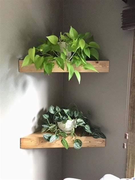 Plant Shelf Ideas 35 Creative Ways To Display Plants House Plants