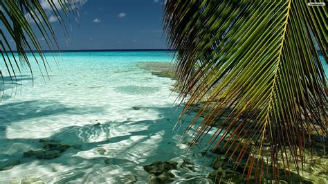 28 Tropical Beach Backgrounds Wallpapers Images Pictures Design