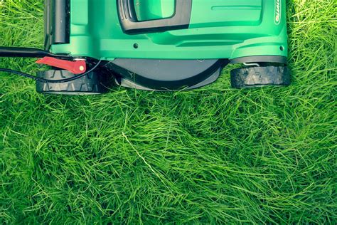 The goal is to get the grass to grow deep roots as it by watering only once per week you help improve the length of your grass roots. How Often to Water New Grass Seeds | Detailde Guide - Beezzly