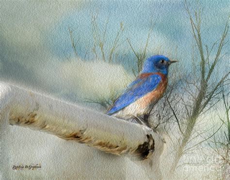 Little Blue Bird Digital Art By Rhonda Strickland Fine Art America
