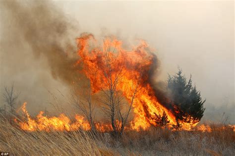 Kansas And Oklahoma Wildfires Burn More Than 72000 Acres Amid State Of
