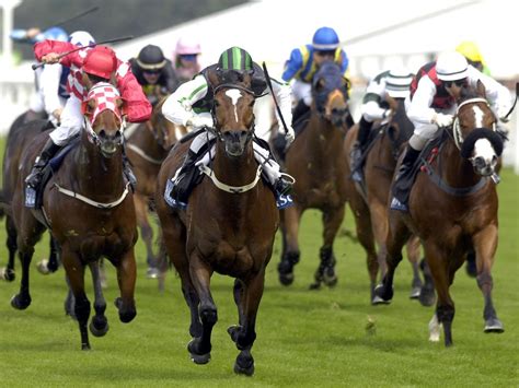 Lindsay Park Chasing Another Two Year Old Winner In Adelaide The Advertiser