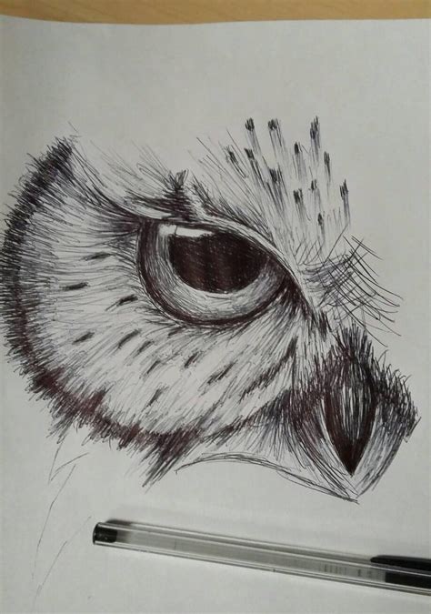 Owl Sketch By Cdkingof1982 On Deviantart