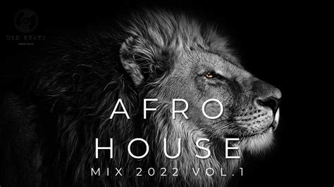 Afro House Mix 2022 Vol1 Youtube
