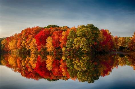 The Science Behind Fall Foliage Case News