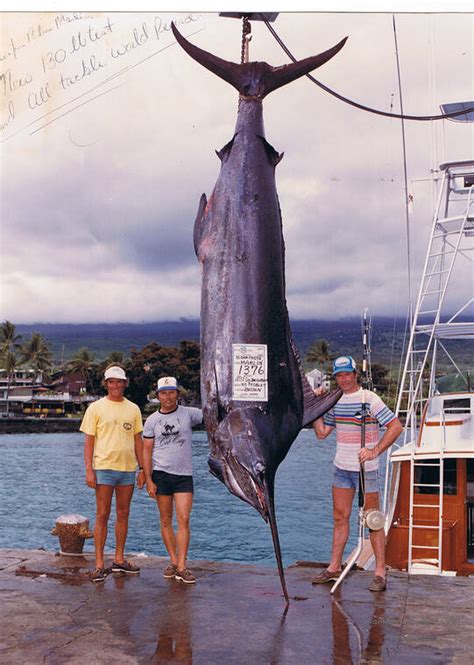 The Bright Side Big Marlin And World Records West Hawaii Today