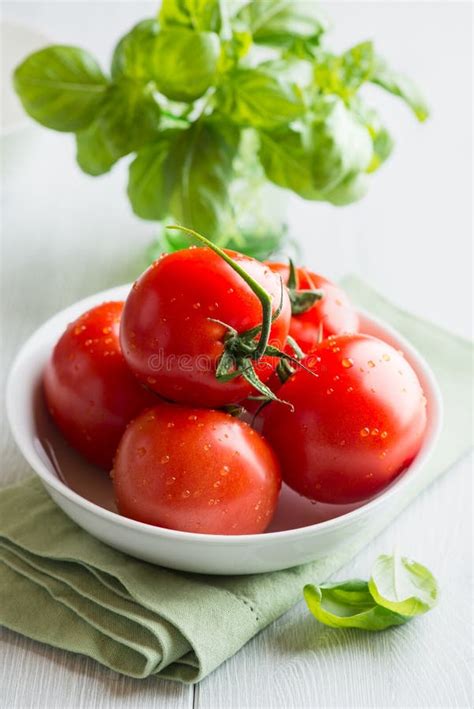Fresh Tomatoes And Basil On Kitchen Table Stock Photo Image Of Ripe