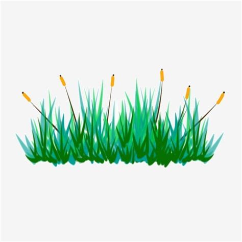 รูปhand Painted Plants Grass Grass Flowers Png Hand Painted Flowers