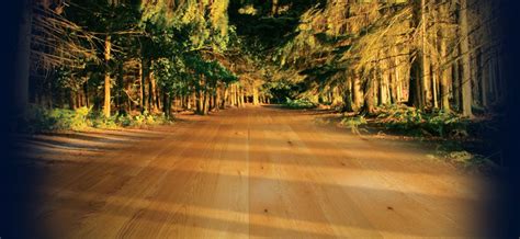 Applewood is a wonderfully varied floor with layers of soft color tones that blend with many furniture finishes. Company Image | Country roads, Laminate flooring, Image