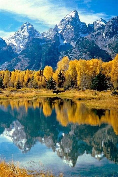 Some Highlights Of The Grand Teton National Park Wyoming Usa