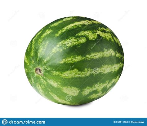 One Whole Ripe Watermelon Isolated On White Stock Photo Image Of