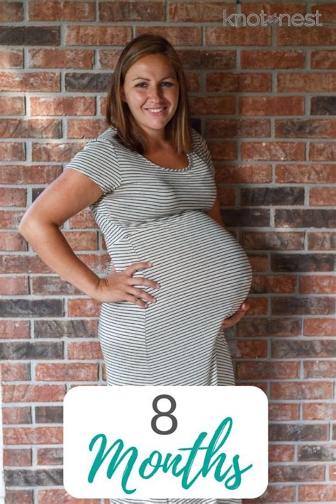 Months Pregnant Bumpdate Well Planned Paper
