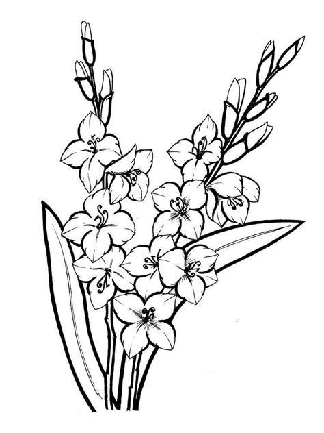 Image Result For Gladiolus Flower Outline Inkskiii Pinterest