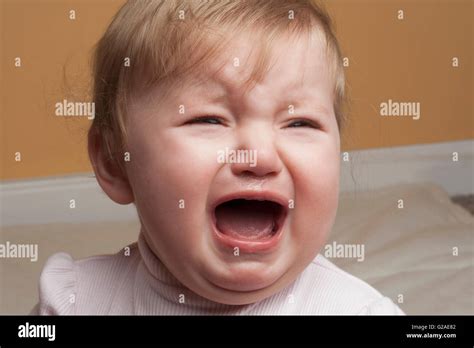 Distraught Crying Hi Res Stock Photography And Images Alamy
