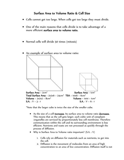Surface Area To Volume Ratio