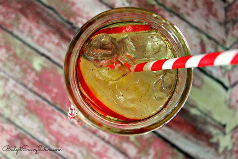 Apple Detox Infused Water Recipe Budget Savvy Diva